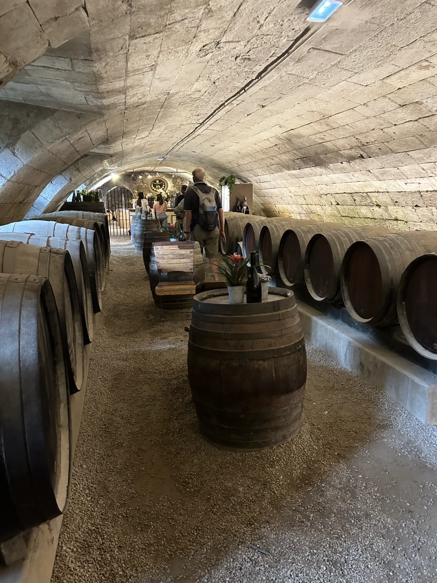Champagne Day Trip — Reims & Épernay